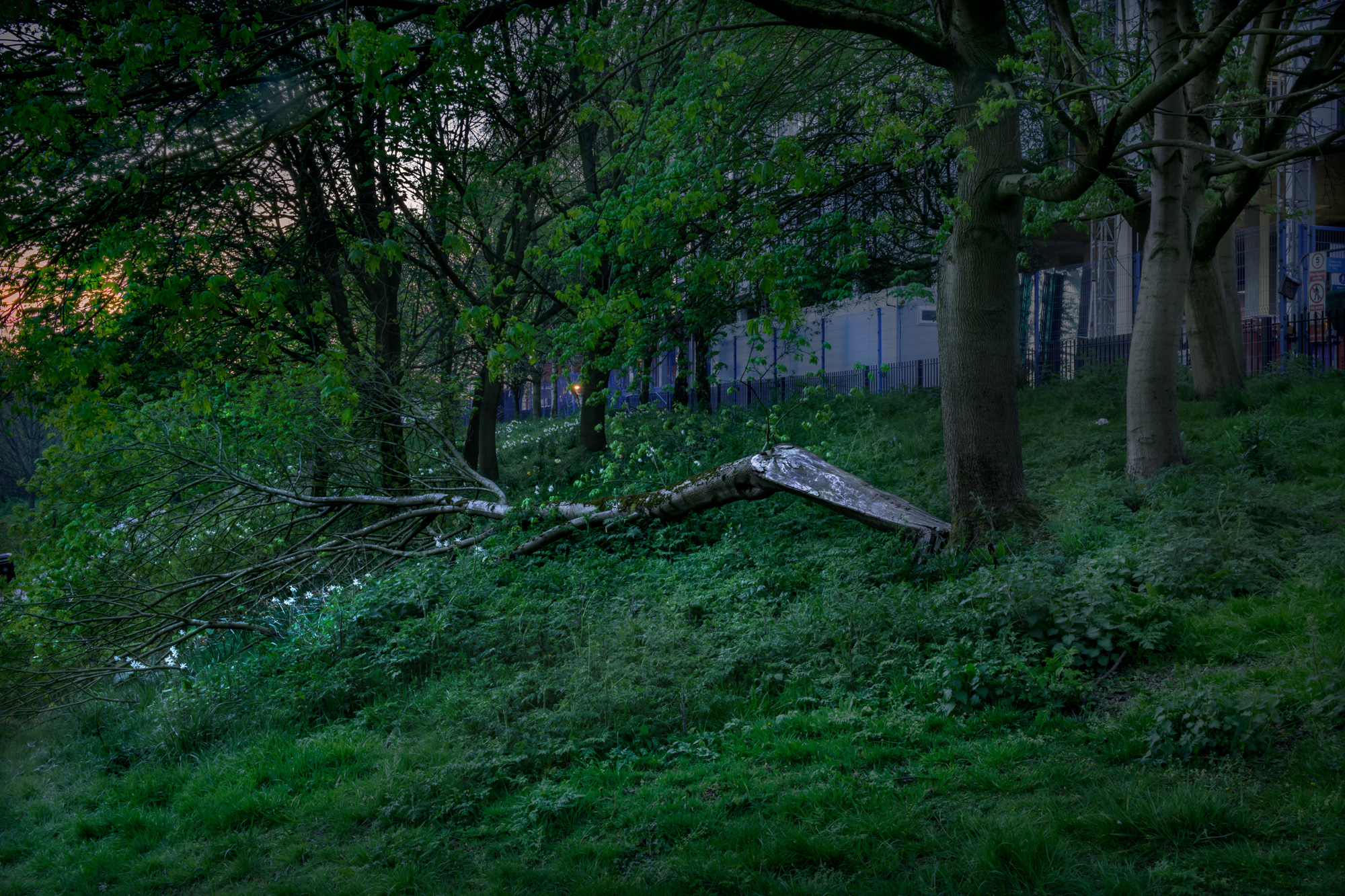 Angel Meadow Manchester